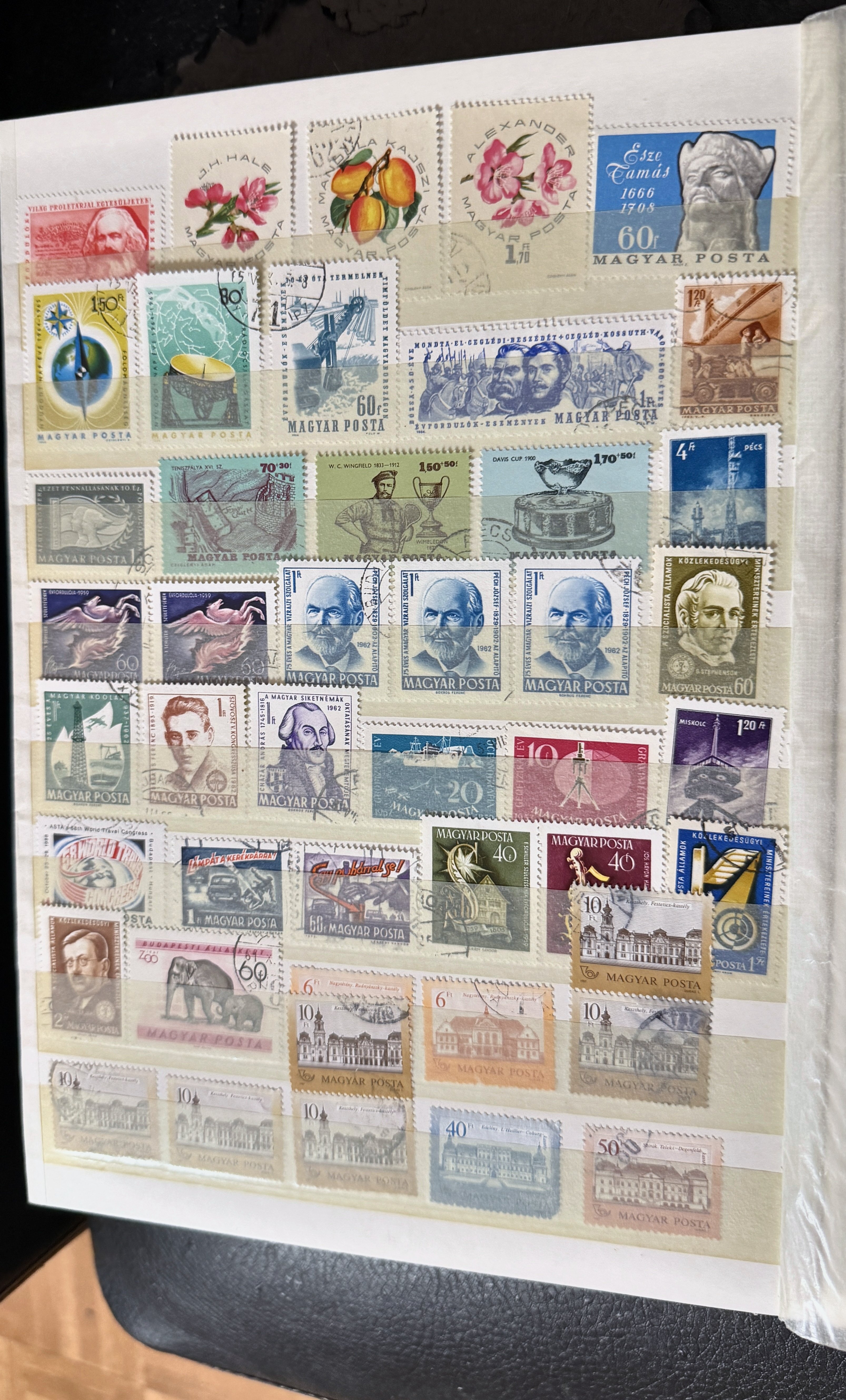 page02547